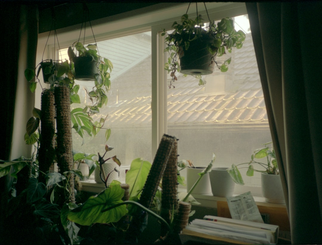 Jak wybrać kolor parapetu pasujący do wnętrza? Praktyczne porady i inspiracje